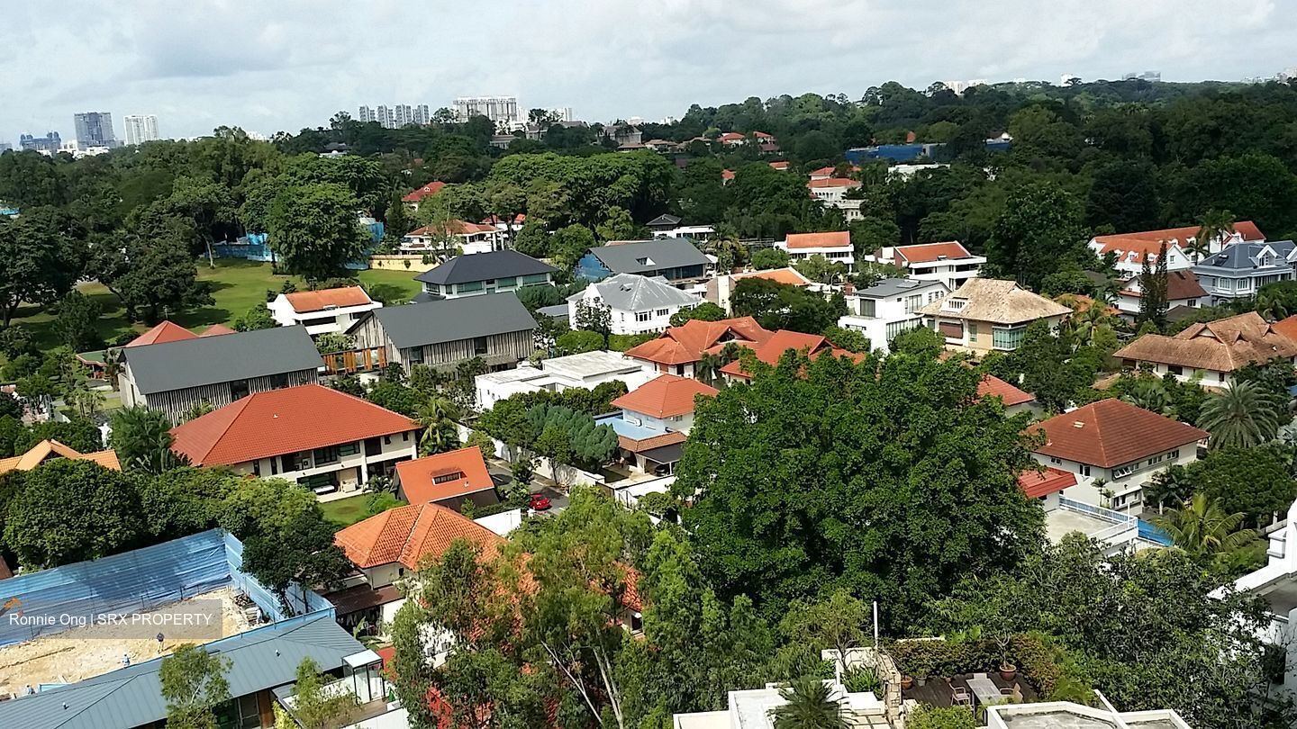 The Equatorial (D10), Condominium #482161181